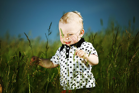 青草中的男孩蓝色木头儿子生活衬衫植物草地婴儿眼睛男性图片