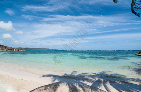 蓝天加勒比海海滩海洋天空植物海岸地平线蓝色图片