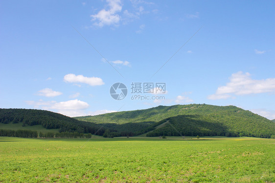 美丽的夏季风景蓝色阳光针叶土地季节牧场草地全景荒野爬坡图片