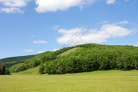 山丘的夏季风景图片