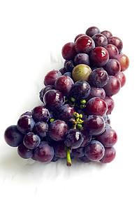 葡萄水果植物酒厂红色绿色浆果收成藤蔓食物生长白色图片