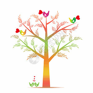 情人树生活绿色庆典树干植物鸟类木头季节插图白色图片