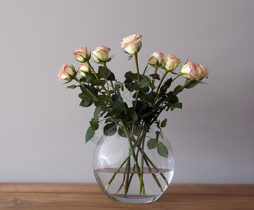 花瓶中的玫瑰礼堂图片
