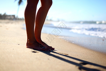 海洋上见女孩蓝色身体生活皮肤冲浪闲暇海滩珊瑚旅行图片