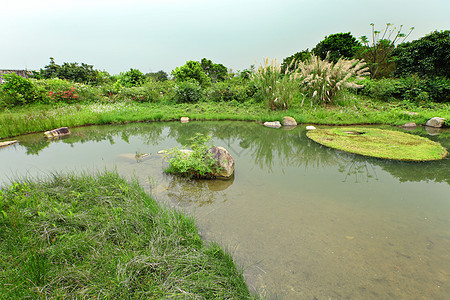 湿地地球树木公园天空植物旅行野生动物生活反射地面图片