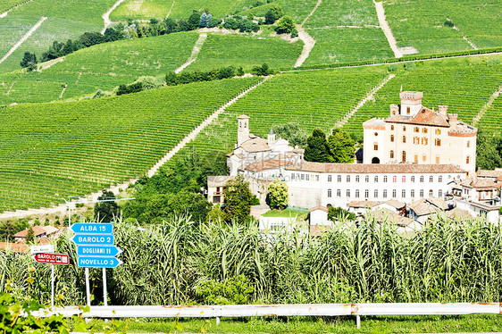 意大利皮埃蒙特巴洛葡萄园历史性旅行位置栽培农村建筑世界城堡外观图片