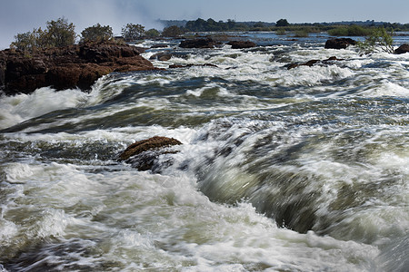 维多利亚瀑布的白水急流水域石头河岸边缘国家激流瀑布愤怒野生动物公园图片