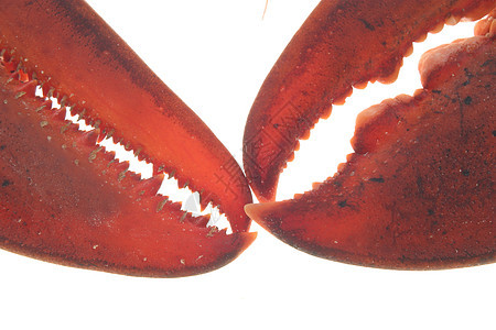 龙虾海洋甲壳美食营养食物动物烹饪工作室奢华熟食图片