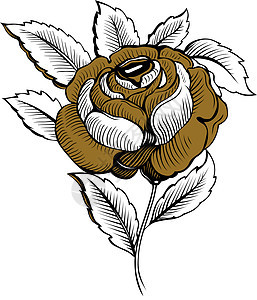 玫瑰花装饰蕾丝创造力植物金子玫瑰白色黑色绘画花园图片