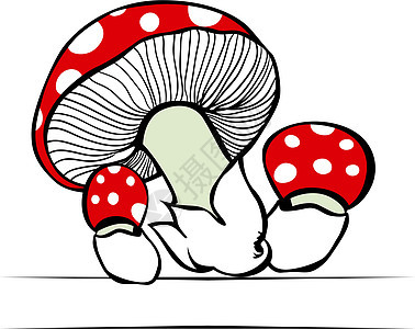病媒中的红色蘑菇图片