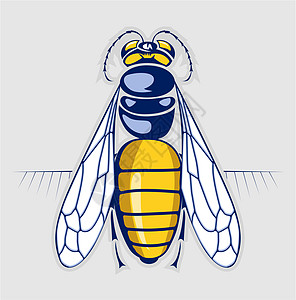 蜜蜂蜂蜜 刺青昆虫图片