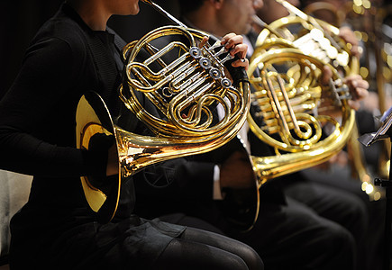 法国角音乐会专业音乐家乐队音乐艺术乐器职业交响乐流行音乐会图片