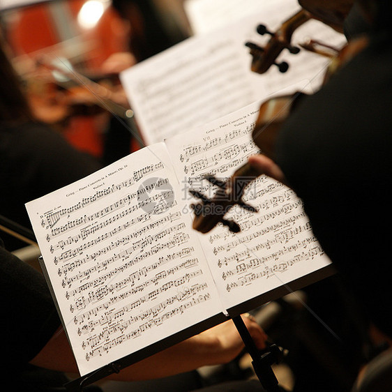 音乐布片音乐文化乐器小提琴手音乐家流行音乐会专业职业小提琴音乐会艺术图片