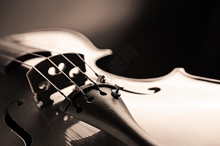 小提琴风格音乐演艺红色乐器交响乐团木头活动音乐会图片