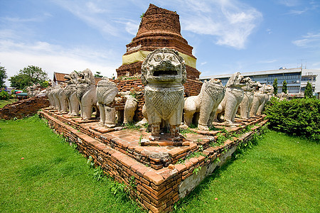 泰国Ayutthay历史公园艺术旅行建筑学雕塑信仰纪念碑旅游游客金子佛教徒图片