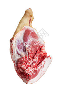 肉肉 猪腿图片
