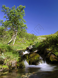 山山流旅行荒野场景岩石溪流森林流动蓝色风景季节图片