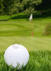 高尔夫球球游戏旗帜推杆球道运动课程草地绿色场地图片