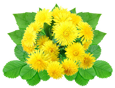 黄色鲜花包宏观白色绿色雏菊花束团体工作室装饰品树叶照片图片