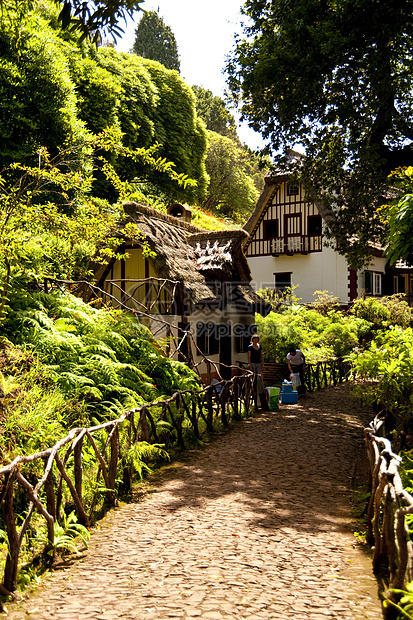 马 提拉花朵屋顶小岛茅草房子木头阴影建筑物远足植物群图片