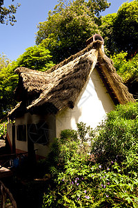 马 提拉爬坡树木阳光房屋植物学山脉晴天建筑物小岛茅草图片