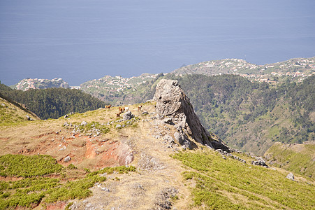 马 提拉绿色木头小岛丘陵树木旅行植物远足旅游爬坡图片