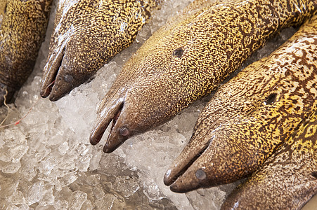 马 提拉渔业市场骨头海鳗营养鱼骨拖网鱼片海鲜钓鱼图片