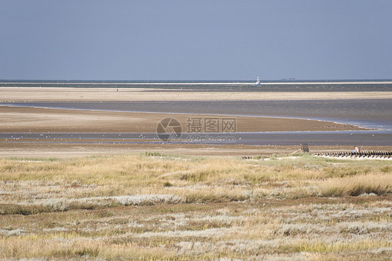 惯者编码海岸泥滩潮汐地图片