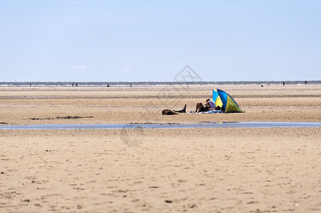 北海滨娱乐天空贝壳海岸风林海滩蓝色沙滩沿岸地平线图片