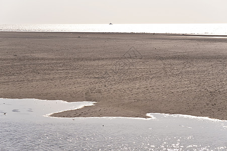 惯者编码泥滩潮汐地海岸图片