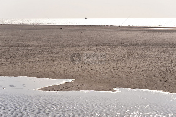 惯者编码泥滩潮汐地海岸图片