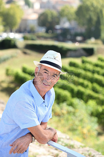参观葡萄园的资深贵族帽子藤蔓太阳老年食物男人收获酒厂农民酒精图片