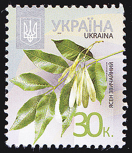 乌克兰邮政邮戳旅行明信片艺术边缘爱好邮件框架船运插图边界图片
