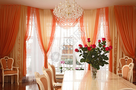 内部的装饰枝形椅子吊灯房子风格家具玫瑰厨房地毯图片