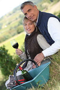 在葡萄园中的配偶季节生长收成夫妻红色藤蔓酿酒师玻璃男人栽培图片