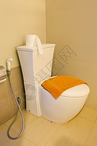 家庭冲洗厕所腹泻陶瓷卫生间男人便秘浴室地板回收卫生褐色图片