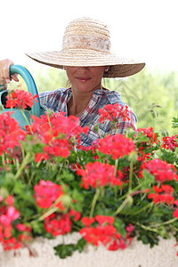 女人在稻草帽 浇水的背景图片