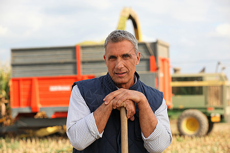 农民站在一辆运牛车前面的农夫图片