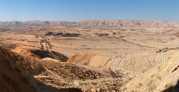 以色列内盖夫沙漠的大克拉杰图片