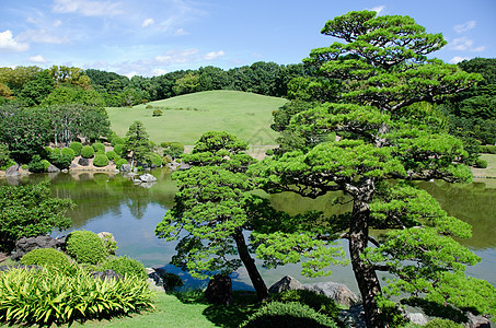 日本花园花园池塘平衡园艺植物学瀑布木头公园叶子石头图片