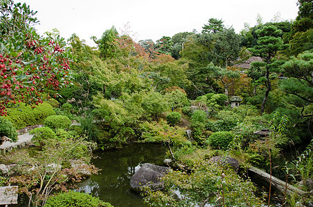 日本花园石头池塘瀑布花园园艺叶子木头绿色植物学植被图片