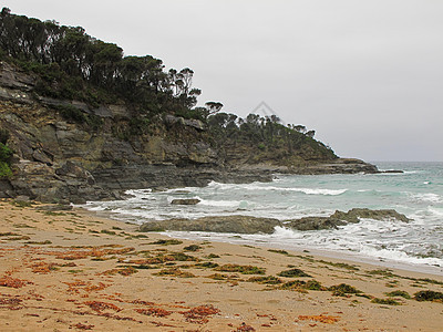 澳大利亚野生海滩环境洞穴石头墙纸地质学树木生活天空阳光海洋图片