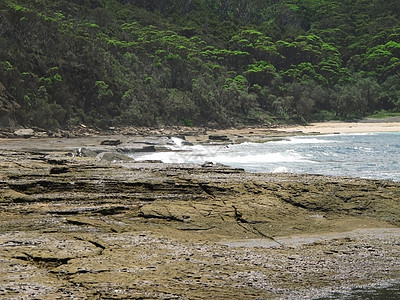 澳洲的野生岩石海岸沿海地平线砂岩旅行海岸线波浪旅游盆纪美丽处女图片