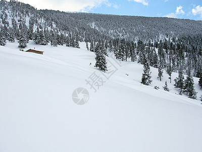 白雪森林远足滑雪季节国家公园蓝色天气美丽天空旅行图片