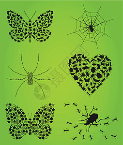 蜘蛛也玩花粉昆虫的收集3插画