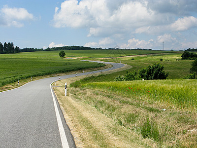 完美的道路驾驶天气森林爬坡木头条纹环境风景路线林地图片