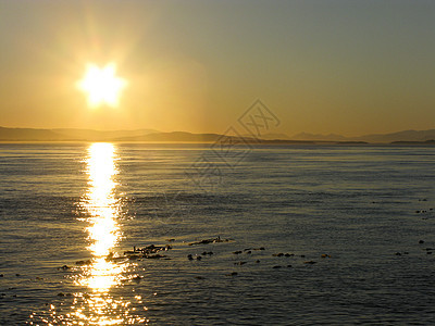 西北太平洋的日落海滩爬坡衬套反射天空天气海岸地平线阳光橙子图片