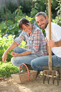 夫妇园艺丈夫头发蔬菜花园男性采摘夫妻妻子灰色女士图片
