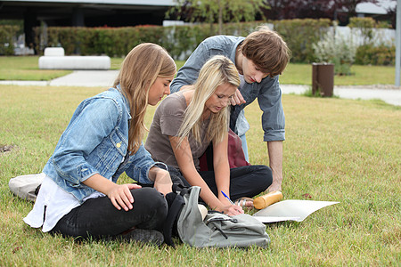 三名学生在草地上学习青少年年轻人公园家庭作业团队专注本科生散文图片