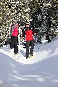 夫妻在树林里滑雪图片